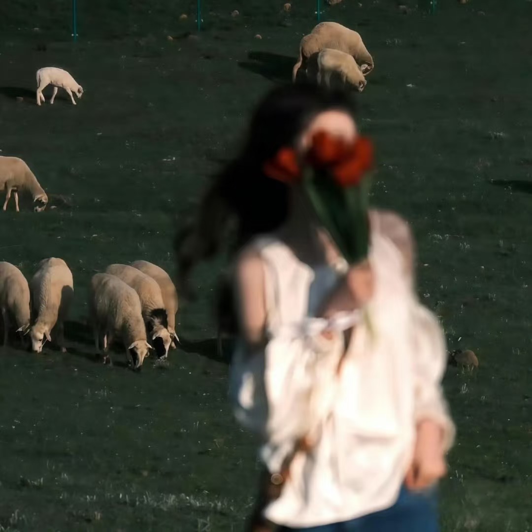 WeChat｜女头像，当野火吻过荒原-原笔记