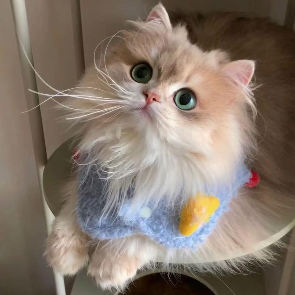 精神状态极佳的头像-原笔记