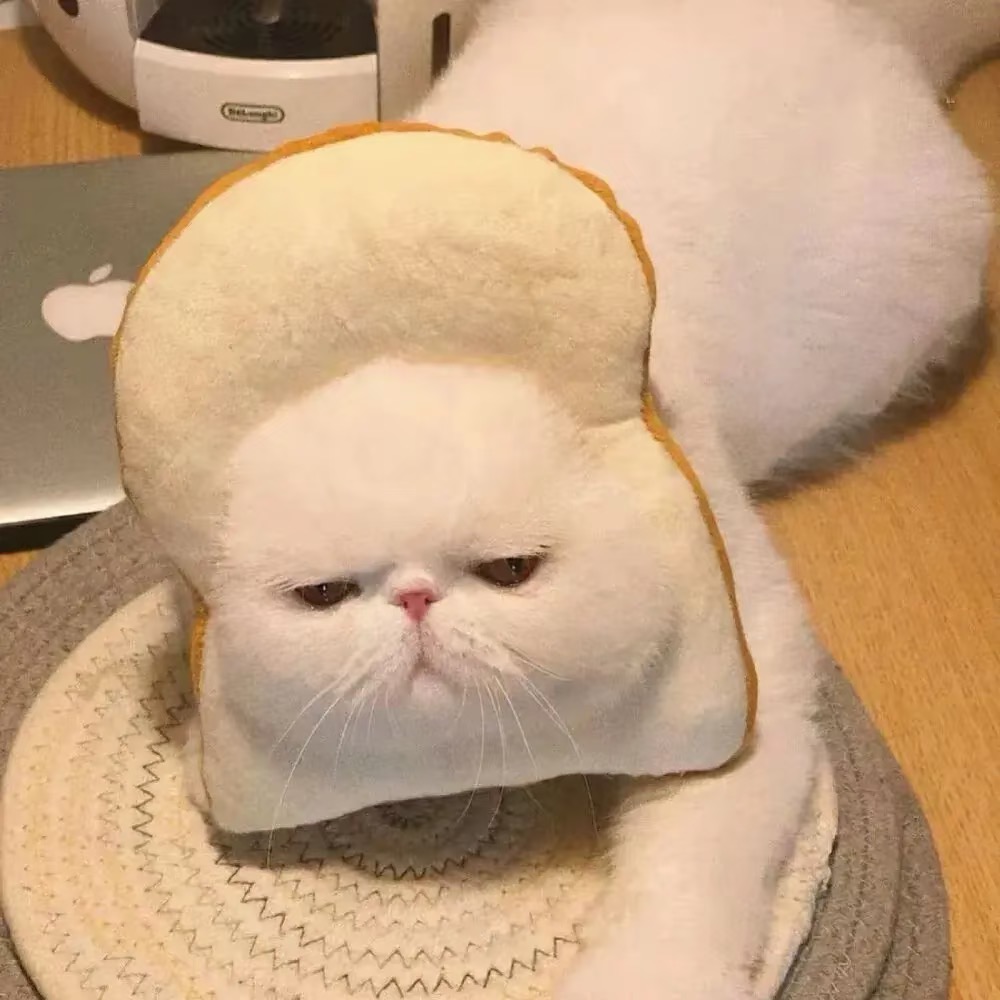 share｜适合长期不换的头像-原笔记