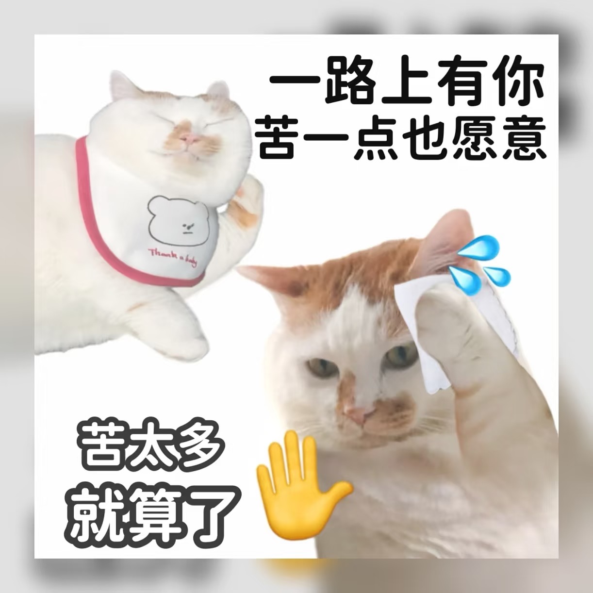 抽象人速存！这几张沙雕表情包我真的会-原笔记