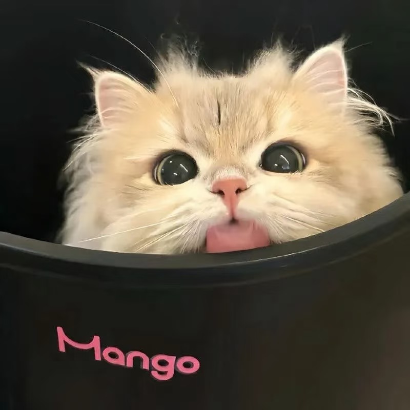 WeChat｜女生头像-原笔记