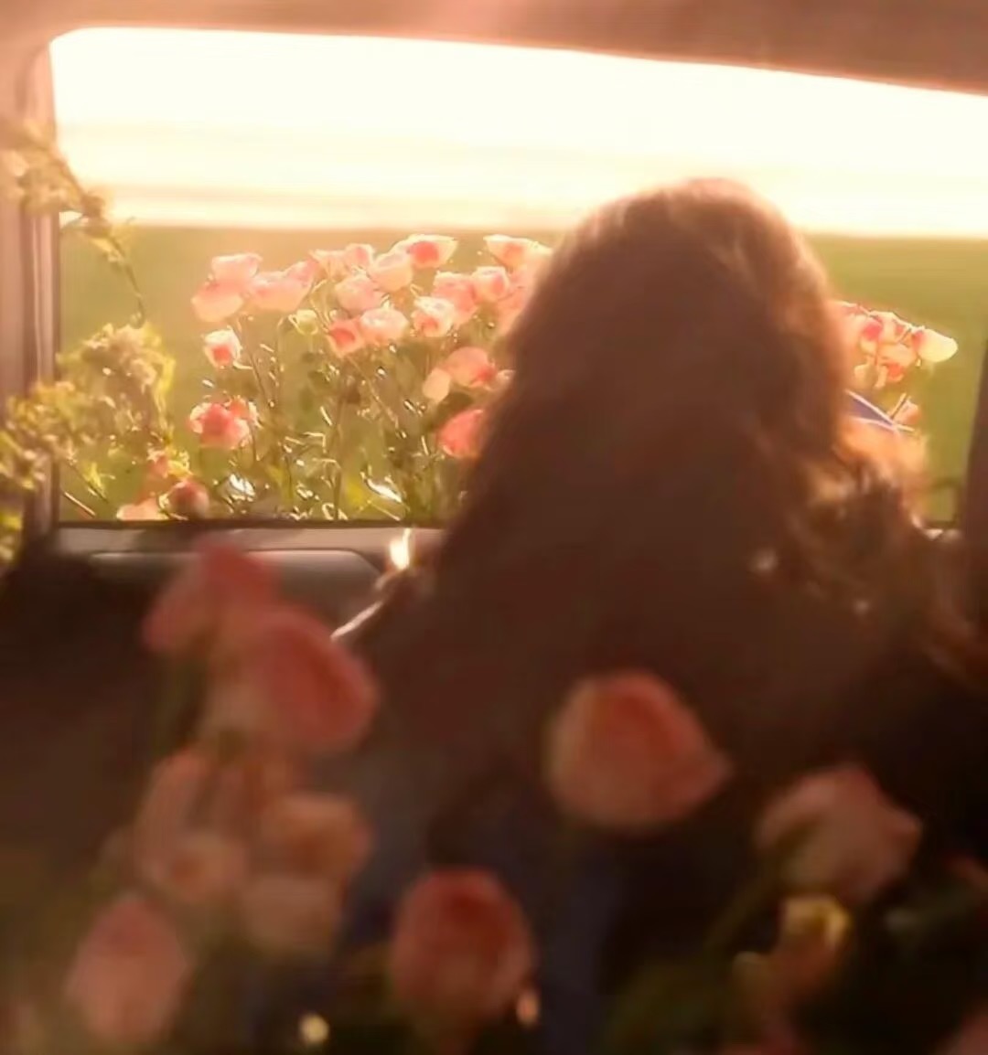 WeChat｜女头像，当野火吻过荒原