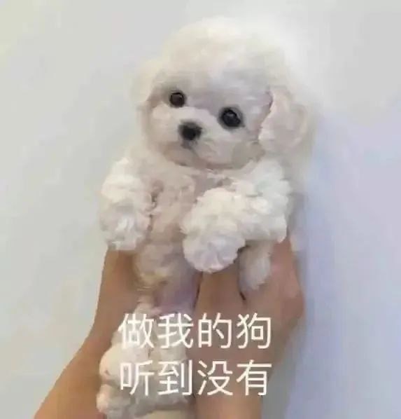 表情包2659-原笔记