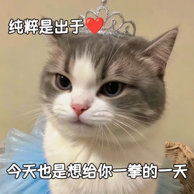 适合聊天专用的杂七杂八情侣表情包-原笔记