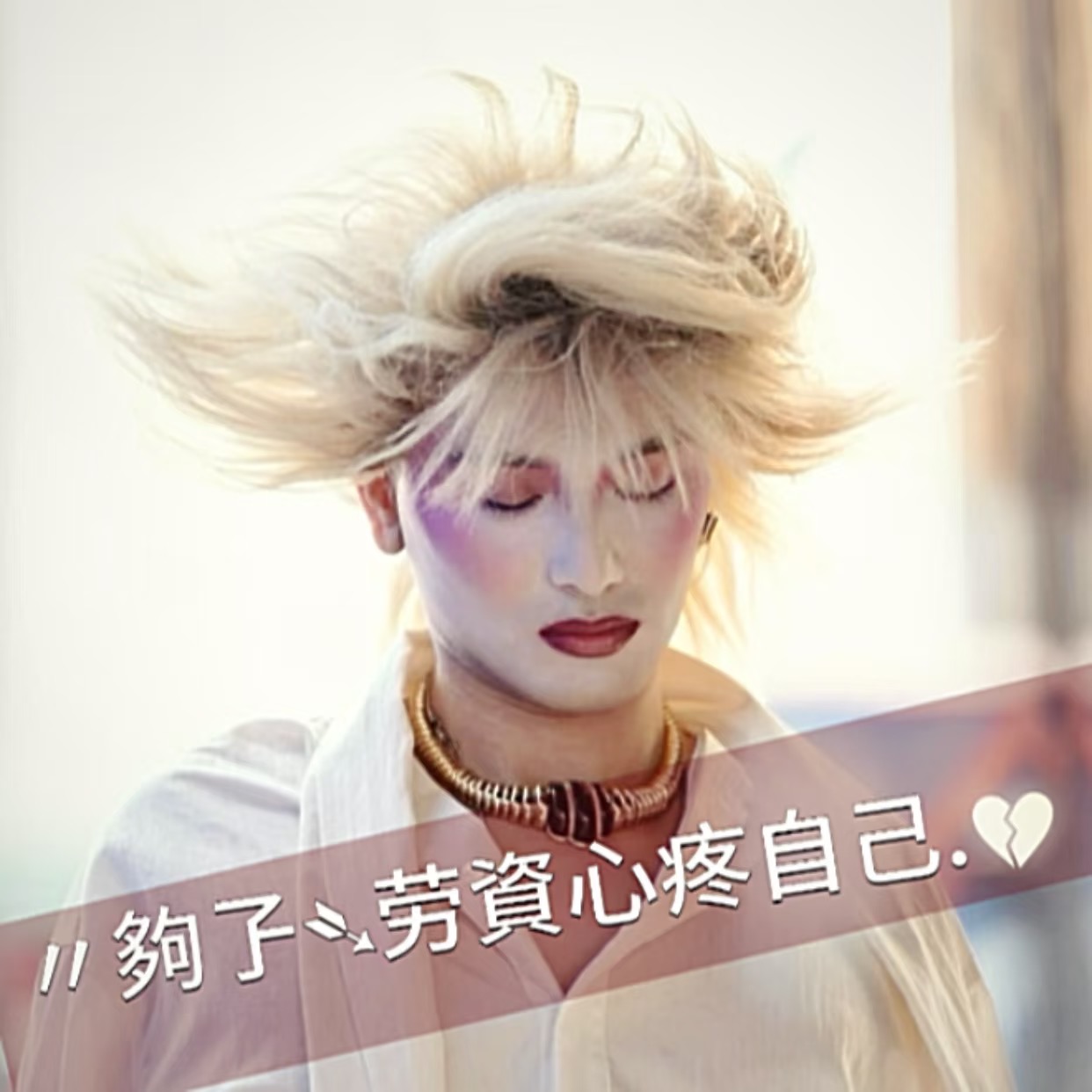 汤金凤反骨表情包-原笔记