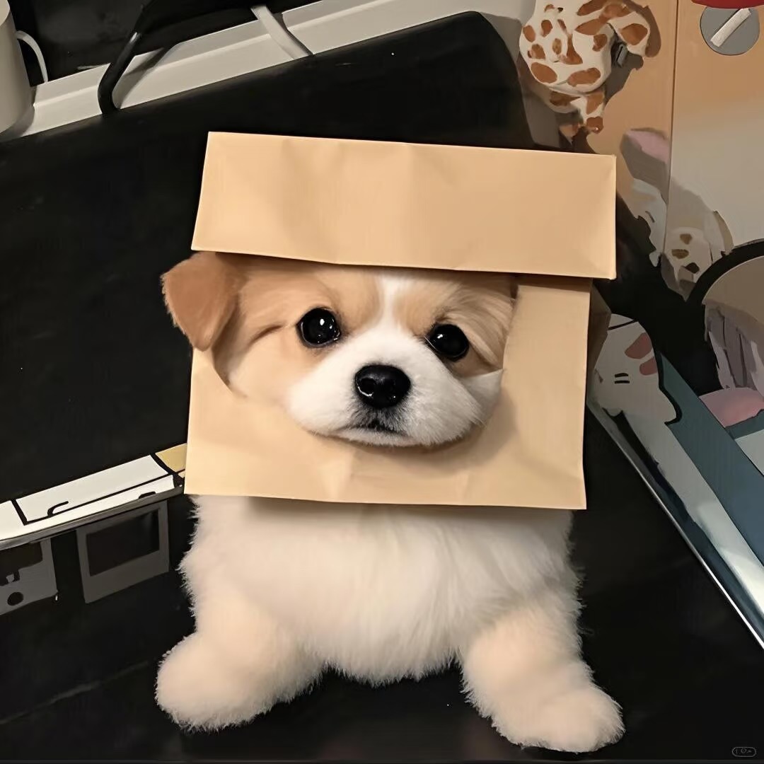 share｜适合长期不换的头像-原笔记