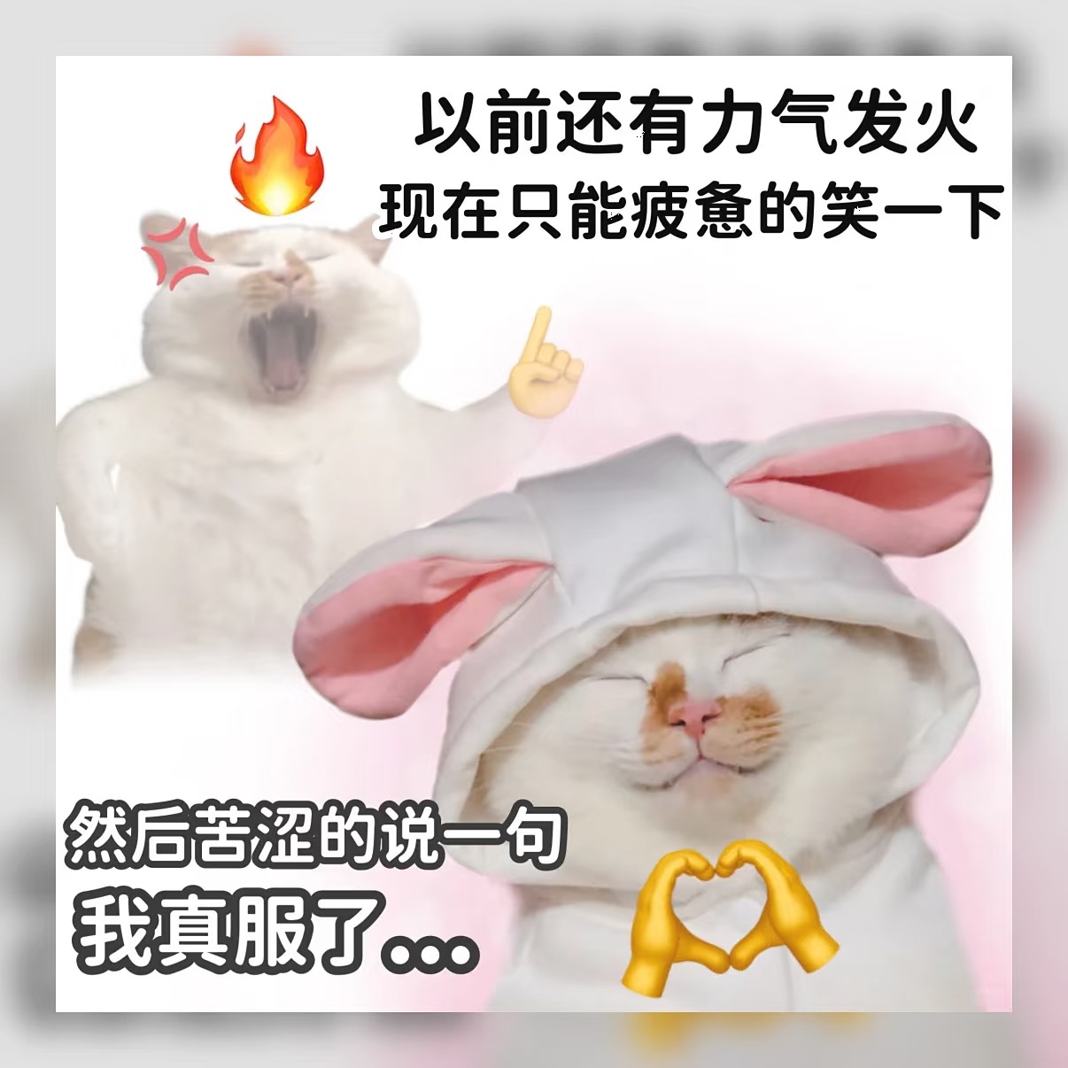 抽象人速存！这几张沙雕表情包我真的会-原笔记