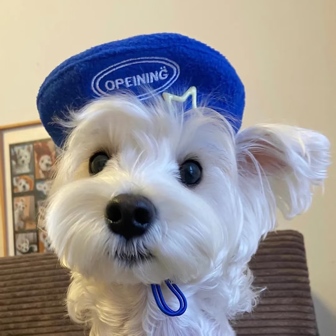 WeChat｜女生头像-原笔记