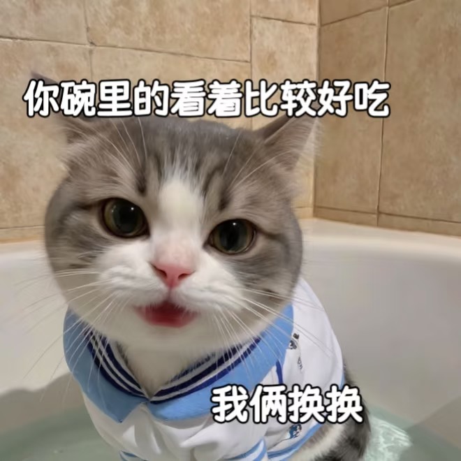 适合聊天专用的杂七杂八情侣表情包-原笔记