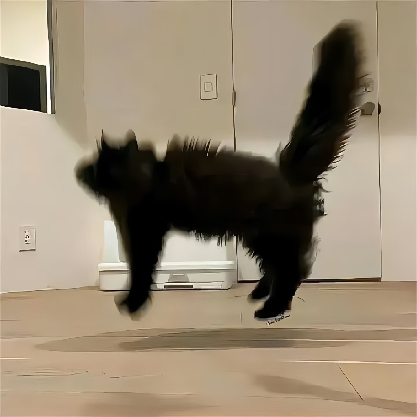 share｜适合长期不换的头像-原笔记