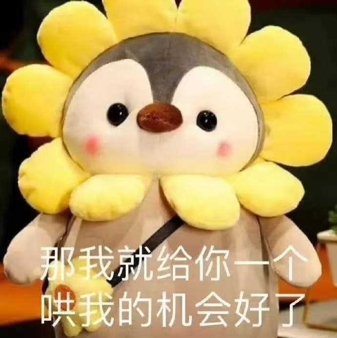 实用表情包分享｜表情包分享