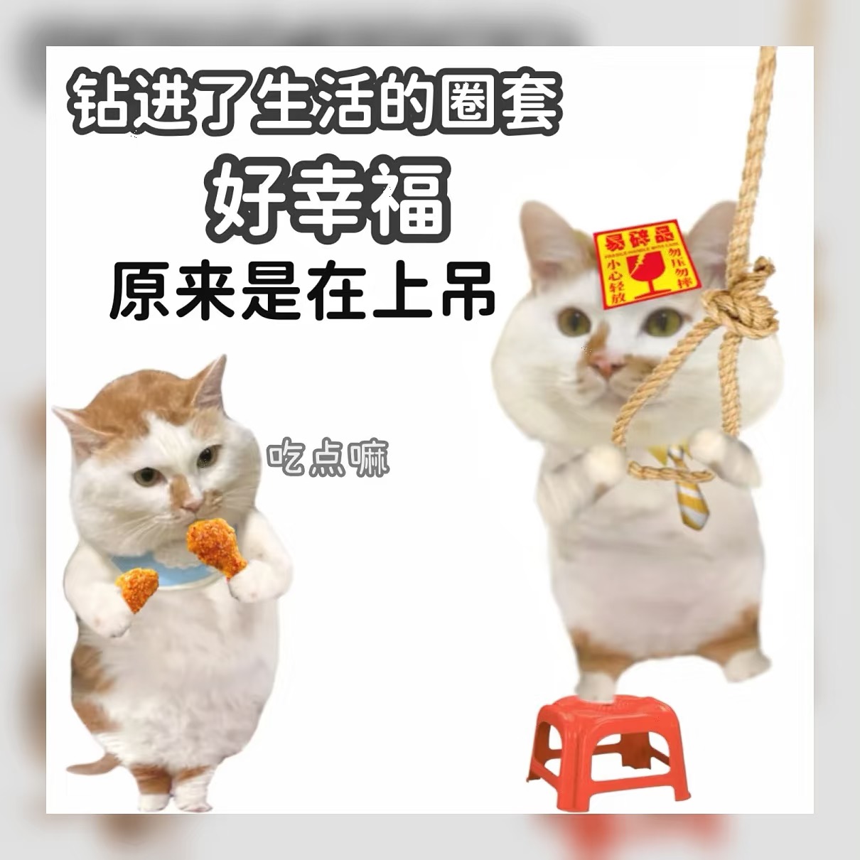 抽象人速存！这几张沙雕表情包我真的会-原笔记