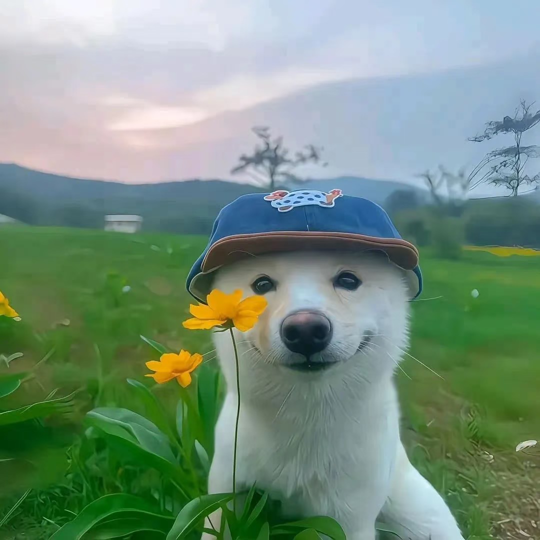 精神状态极佳的头像-原笔记