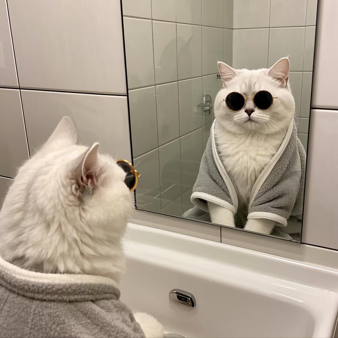 share｜适合长期不换的头像-原笔记