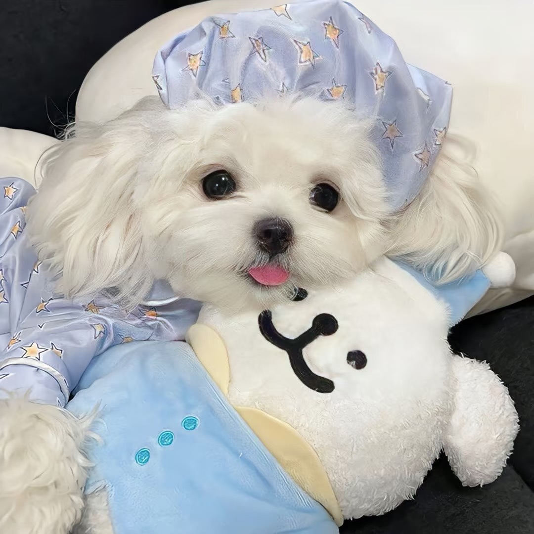 share｜适合长期不换的头像-原笔记