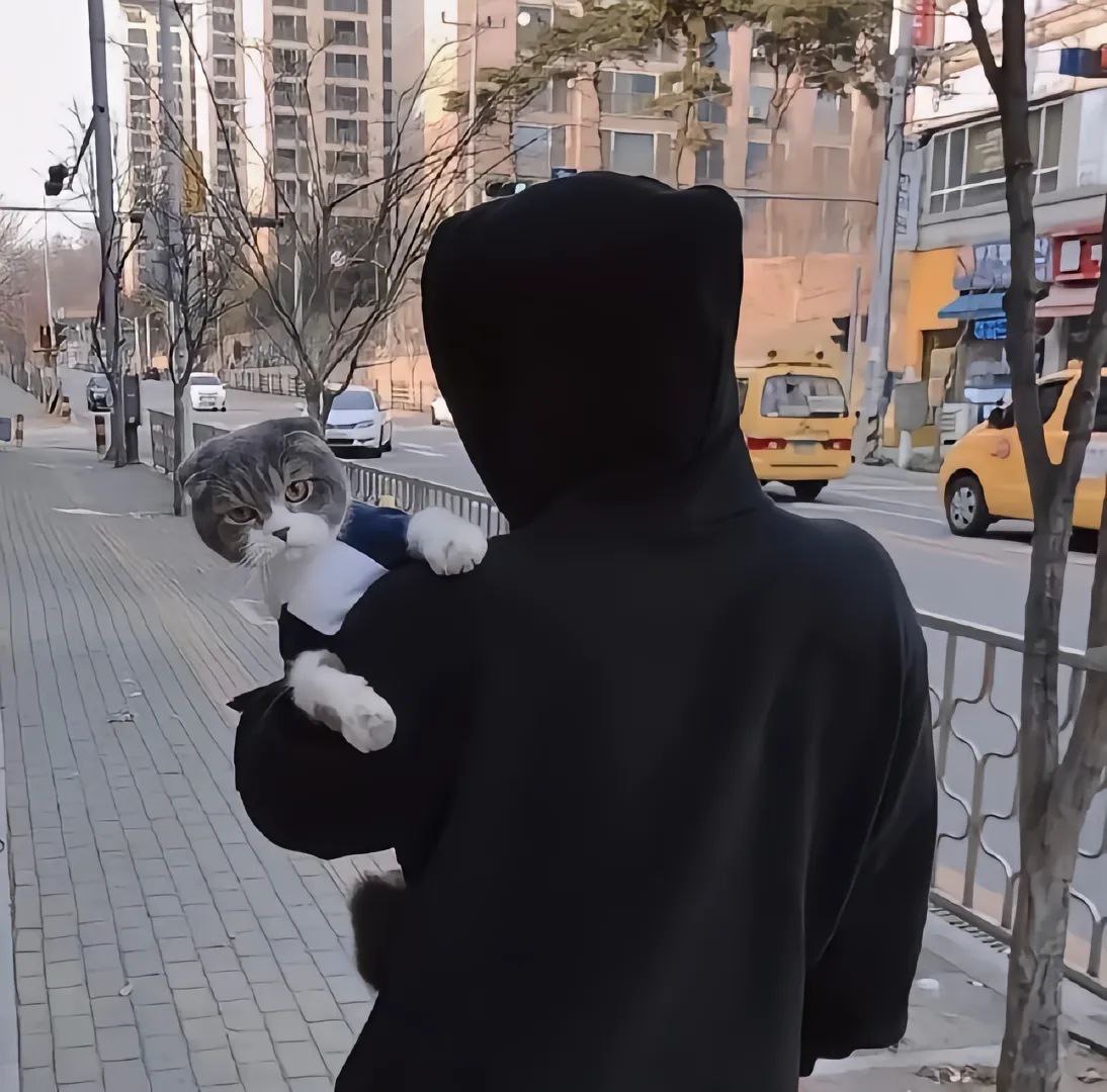 #男头像气质男头像背影-原笔记