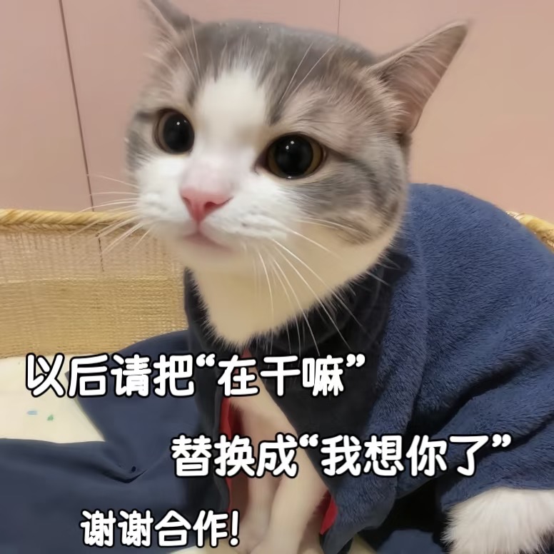 适合聊天专用的杂七杂八情侣表情包-原笔记