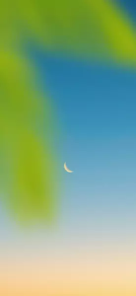 每日手机壁纸推荐3409