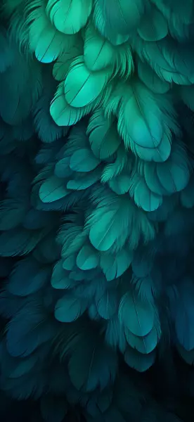 𝐒𝐡𝐚𝐫𝐞｜手机壁纸4k高清ins最新壁纸