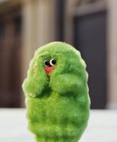 苦瓜女士超实用表情包～