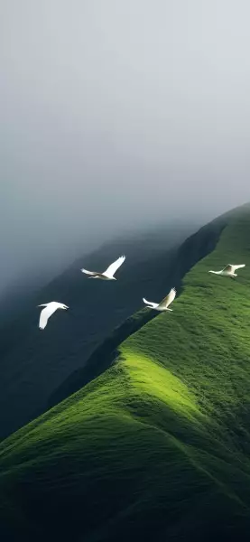 Wallpaper 风景壁纸