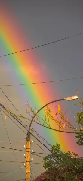 每日手机壁纸推荐3383