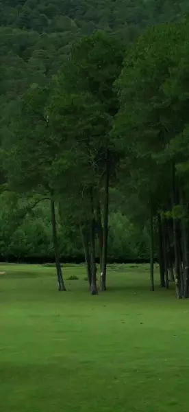 极致简约高清壁纸