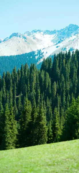 手机壁纸 风景壁纸