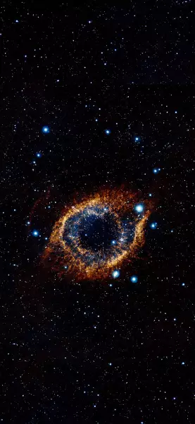 星空竹子植物炫彩手机壁纸