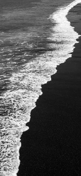 Share｜手机壁纸火鸟摩天轮海边吉普车