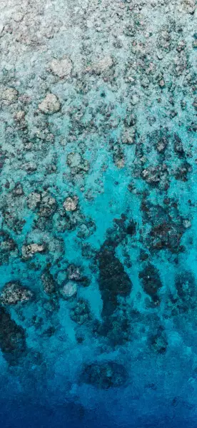 每日手机壁纸推荐3409