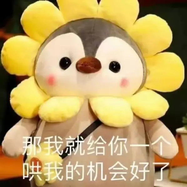 实用表情包分享｜表情包分享