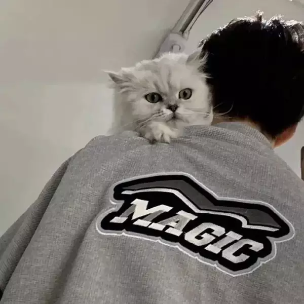 ins个性男头高质量男头