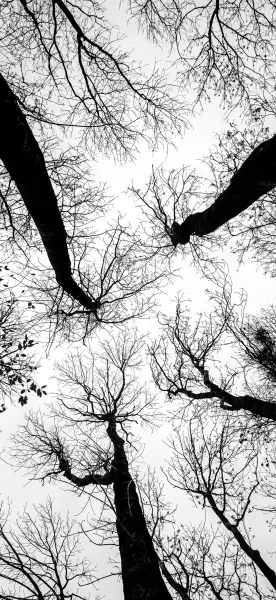 每日手机壁纸推荐3396