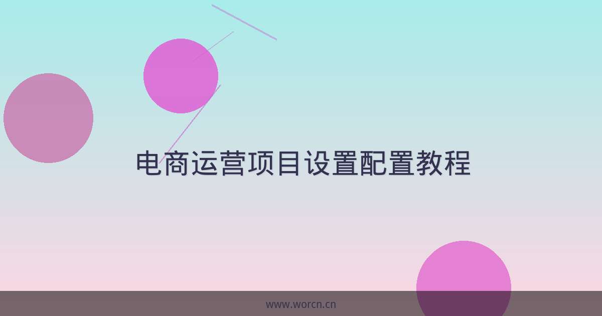 电商运营项目设置配置教程-原笔记