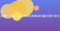 引流推广项目：如何高效获取精准流量并提升转化率