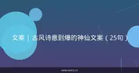 文案 | 古风诗意到爆的神仙文案（25句）