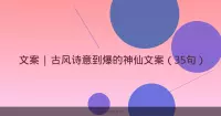 文案 | 古风诗意到爆的神仙文案（35句）