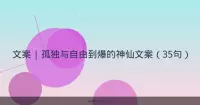 文案 | 孤独与自由到爆的神仙文案（35句）