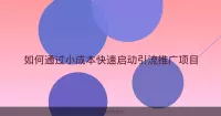 如何通过小成本快速启动引流推广项目