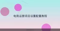 电商运营项目设置配置教程