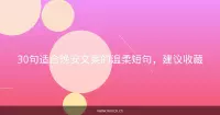 30句适合晚安文案的温柔短句，建议收藏