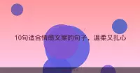 10句适合情感文案的句子，温柔又扎心