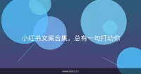 小红书文案合集，总有一句打动你