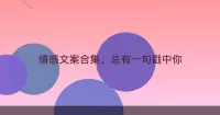 情感文案合集，总有一句戳中你