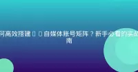 如何高效搭建AI自媒体账号矩阵？新手必看的实战指南